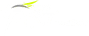 eyeart logo